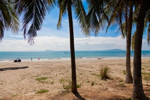 Palm beach Stock Photos