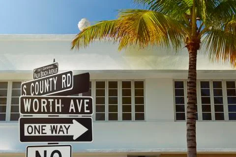 Palm beach 写真素材