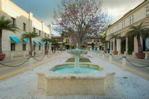 Palm beach Stock Photos