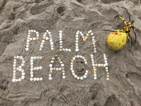 Palm Beach shells Foto stock