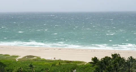 Palm Beach shores ocean waves crashing into sand palm trees blowing in the storm Stock Footage 213129737
