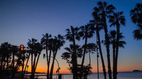 Palm beach at sunrise, Vídeo Stock 308691763