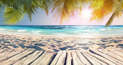Palm Beach At Sunset With Defocused Background Stockfoto's