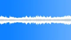 Palm Beach, Sydney, Waves in Medium Distance, Few People, Loop V1Sound Effect