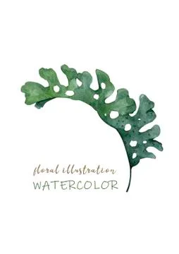 Palm beach tree leaf jungle botanical illustration. Watercolor background iso Stock Illustration