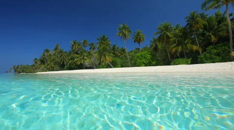 Palm beach with turquoise lagoon Stock Footage