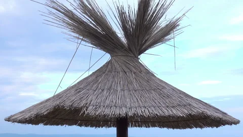 Palm beach umbrella close-up. Stock Footage 112348598