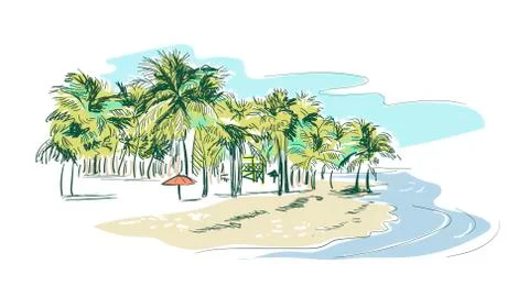 Palm beach vector sketch landscape line illustration skyline Ilustración de archivo
