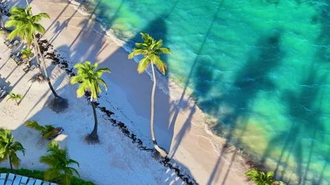 Palm beach with white sand and turquoise ocean. Summer seascape background. Stock Footage 334787324