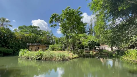 Palm Beach Zoo Stock Footage 202082186