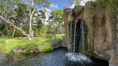 Palm Beach Zoo Waterfall Stock Footage 202082152