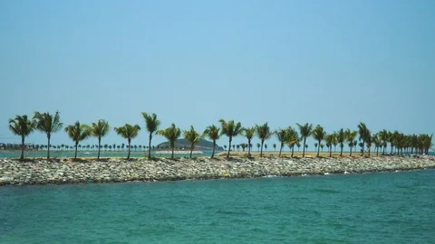 Palm beach22 動画素材 107196028