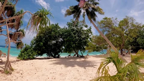 Palm beaches in the maldives Stock Footage 203978321