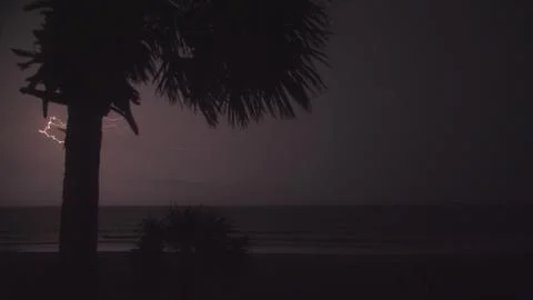 Palm Bolt 库存照片