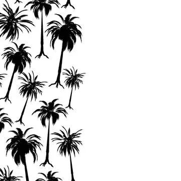 Palm border Palm tree border in stark black and white with copy space Copy... 스톡 사진