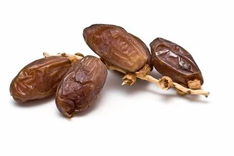 Palm branch with four dates. Stock Photos
