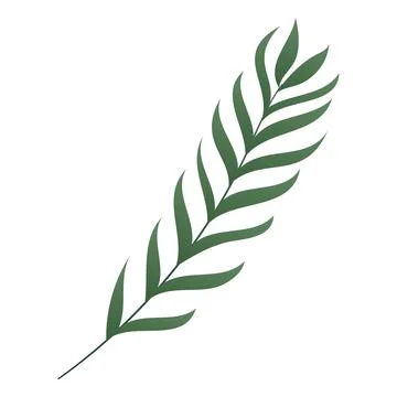 Palm branch in green gradient. One tropical leaf. Plant, nature. Decorative Stock Illustration