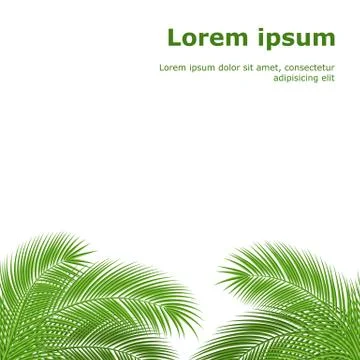 Palm branch Stock Illustration