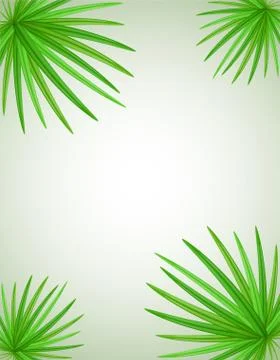 Palm branch illustration Stock Illustration