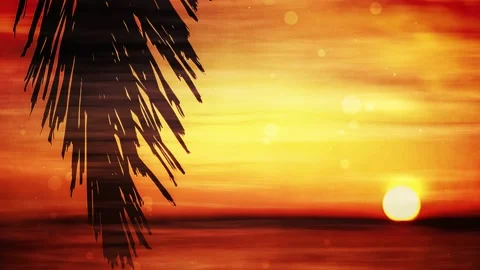 Palm Branch At Sunset Motion Background Stock Footage 148247871