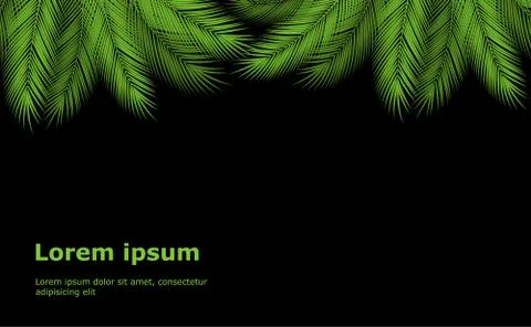 Palm branch template Stock Illustration