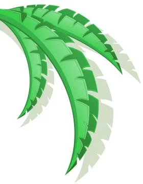 Palm branch vector illustration Stock Illustration