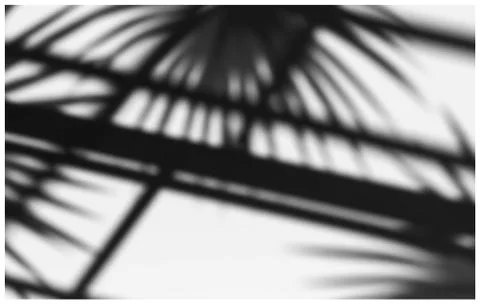 Palm branches and architectural elements shadows Stock Illustration