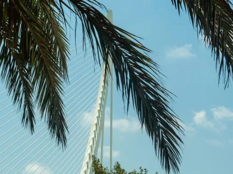 Palm branches on the background of metal structures and sky Stock Photos