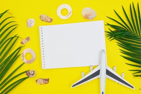 Palm branches with frame of shells and notepad, plane Foto stock