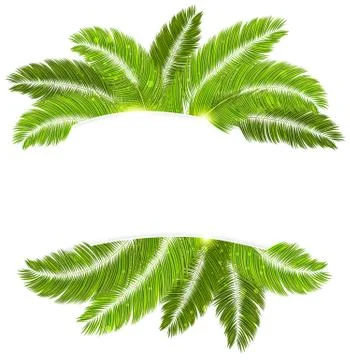 Palm branches Stock Illustration