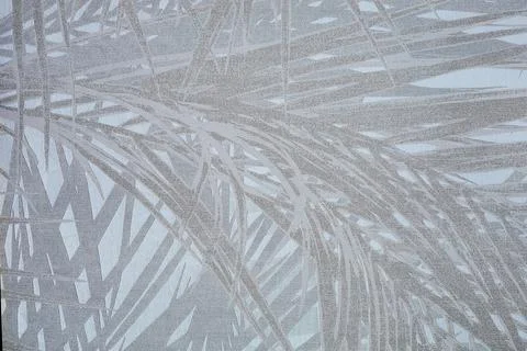 Palm Branches Texture Grey Stock Photos