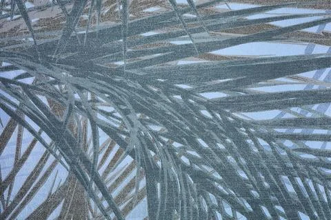 Palm Branches Texture Иллюстрация