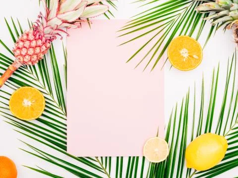 Palm branches on white background. Stock Photos