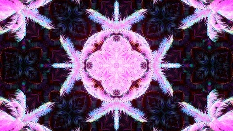 Palm Caledoscope Vídeos de archivo 126784655