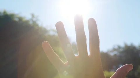 Palm closes sun light. Stock Footage 77085953