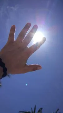 Palm closes the Sun. Stock Photos