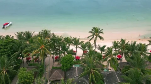 Palm on coast, ocean washes beach. Settlement near very coast of sea for Stock Footage 260232271