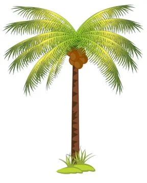 Palm with coco Stock Illustration