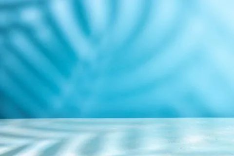 Palm coconut leaf shadow on table top and blue wall background. Abstract su.. Stock Photos