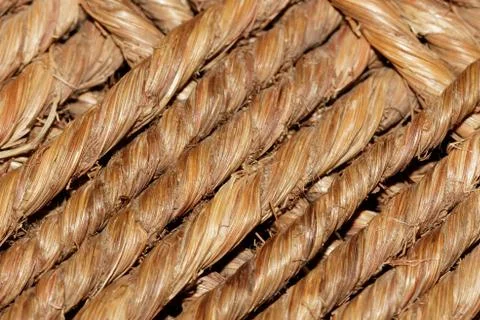 Palm Cord Texture Foto stock