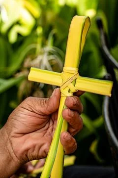 Palm cross Stock Photos