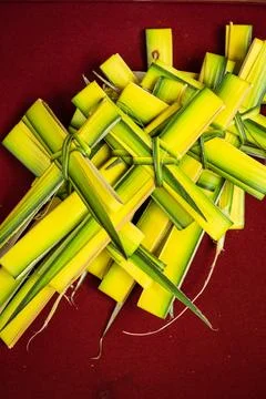 Palm cross Stock Photos