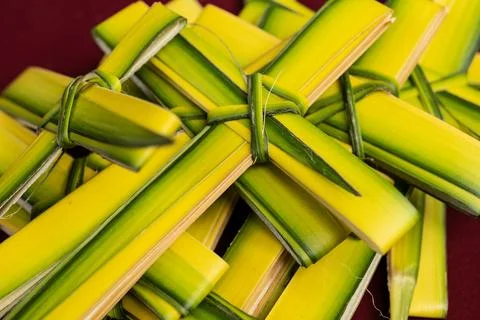 Palm cross Stock Photos
