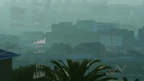 Palm crown staying centered over foggy roof while live data feed overlaying Stock Footage 332844035