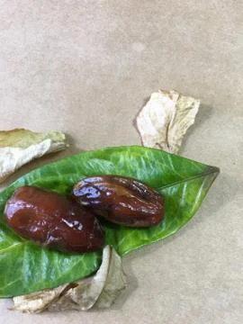 Palm date background unit isolate Stock Photos