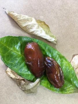 Palm date background unit isolate Stock Photos