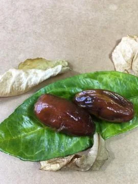 Palm date background unit isolate 스톡 사진