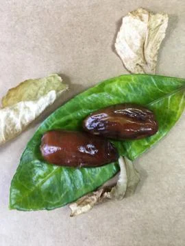 Palm date background unit isolate Stock-Fotos