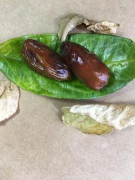 Palm date background unit isolate 스톡 사진