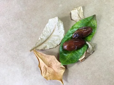 Palm date background unit isolate Stock Photos